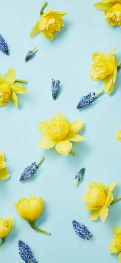 花花世界壁纸-锐景创意