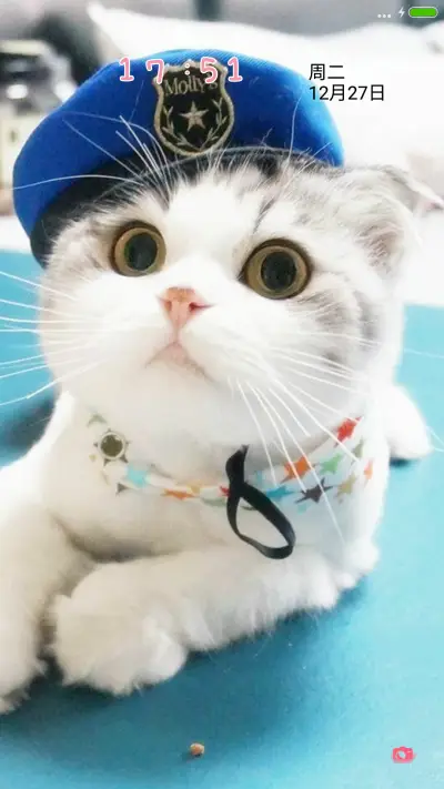 激萌小喵 - Screenshot 1