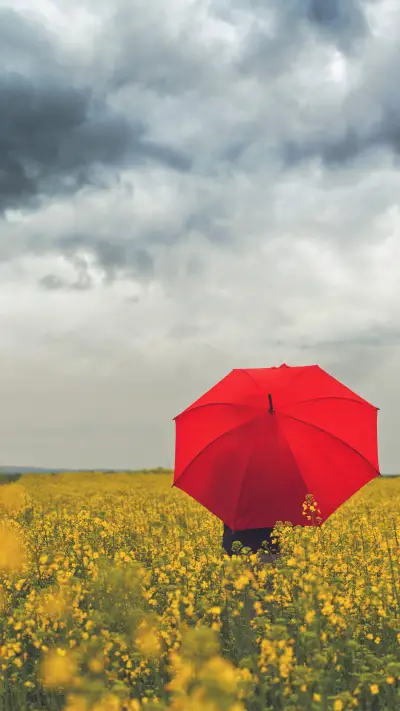 精美壁纸-拍信图库