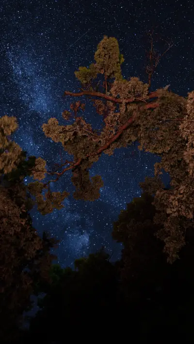 星夜茫茫 - Screenshot 1