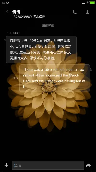 多色花 - Screenshot 11