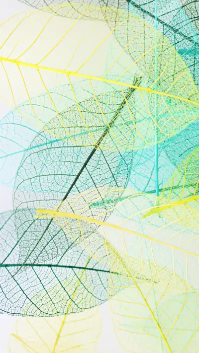 彩色叶子-锐景创意