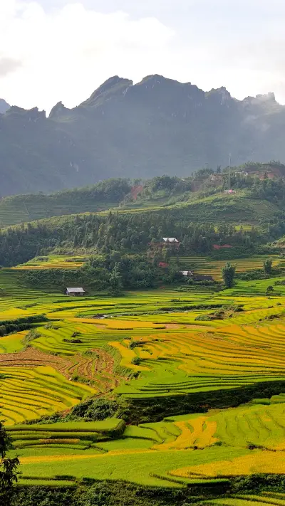 田园风光——拍信图库