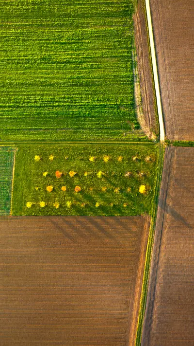 绿色护眼田野-拍信图库