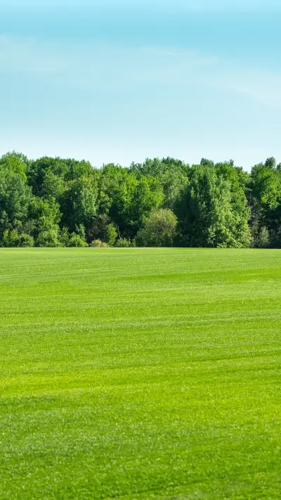 绿草蓝天-拍信图库
