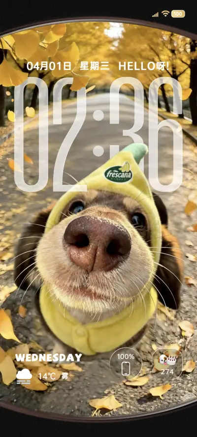 鱼眼景深Hello小狗 THEME for Xiaomi MIUI HyperOS