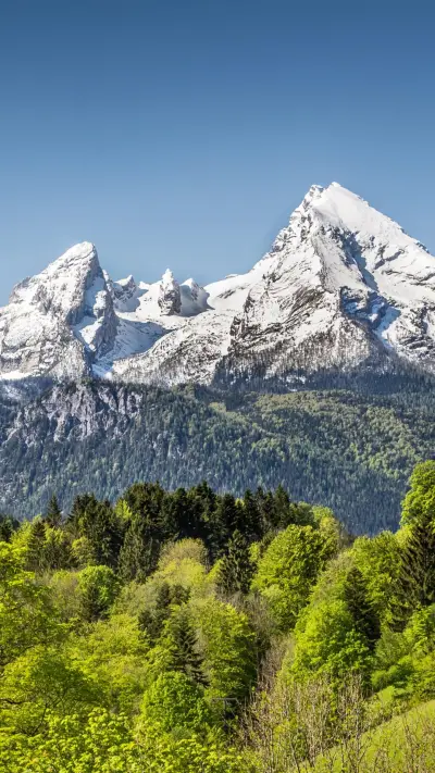 乞力马扎罗的雪 - Screenshot 1