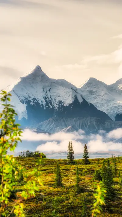 阿拉斯加降雪量增117%