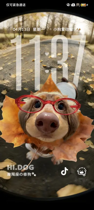 重感hello小狗 THEME for Xiaomi MIUI HyperOS