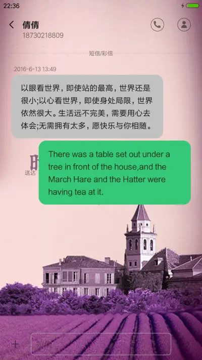 爱在薰衣草 - Screenshot 8