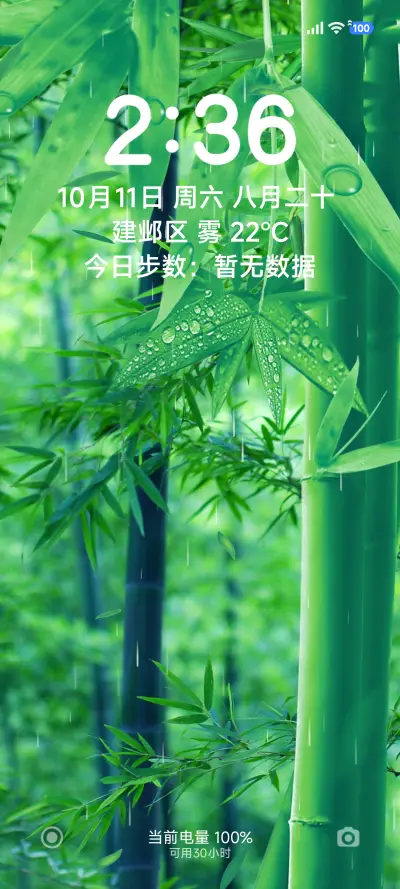 意境竹林