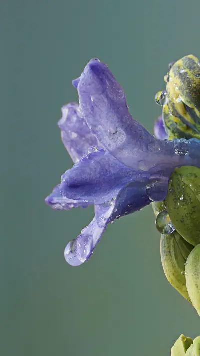 自然风光-拍信图库