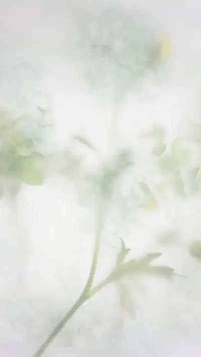清新质感-视觉中国 - Screenshot 1