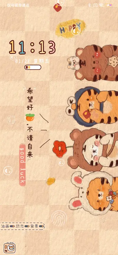 窥屏小老虎 - Screenshot 3