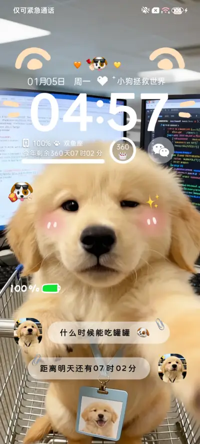 ins天选打工金毛 - Screenshot 2