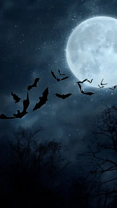 狂欢万圣节-拍信图库 - Screenshot 1