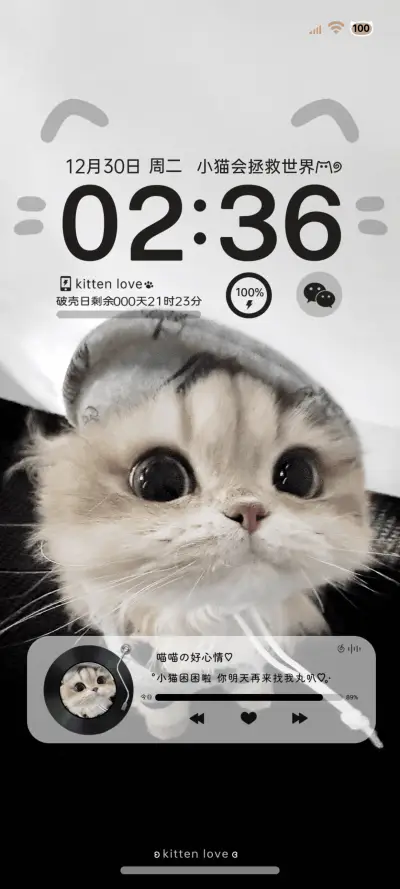 ins风小猫来贴贴