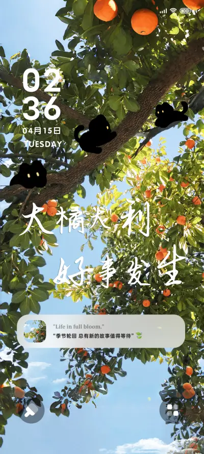 晴日橘影 猫憩枝头 - Screenshot 2