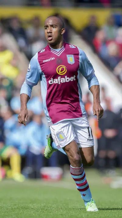 维拉雄狮德尔菲