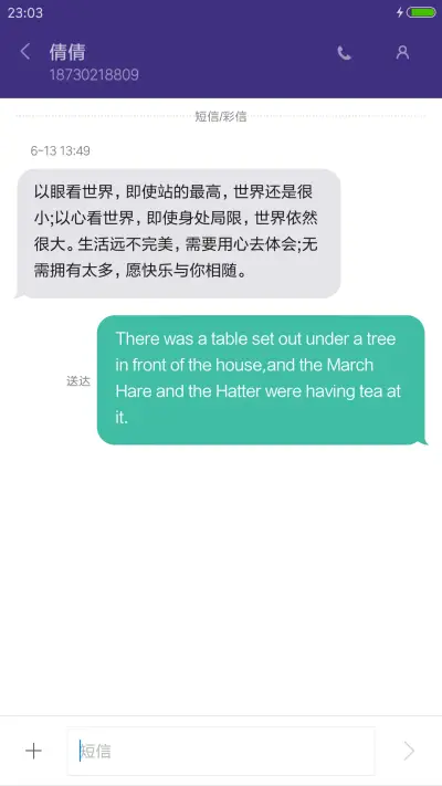 Mac OS精美版  - Screenshot 11