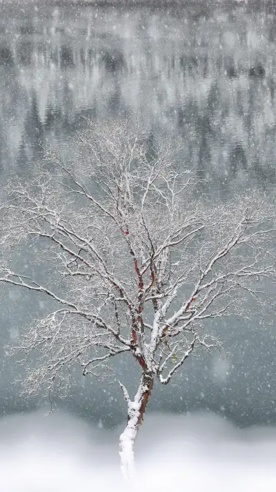 2020国内年度最佳色彩