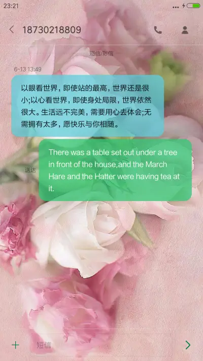 花之物语 - Screenshot 8
