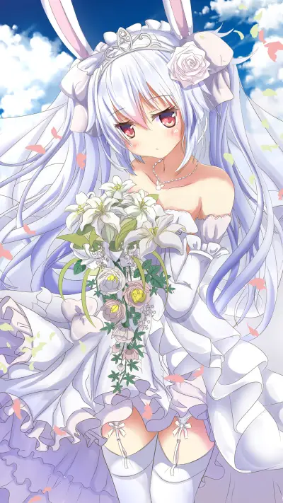 华美长裙 - Screenshot 1