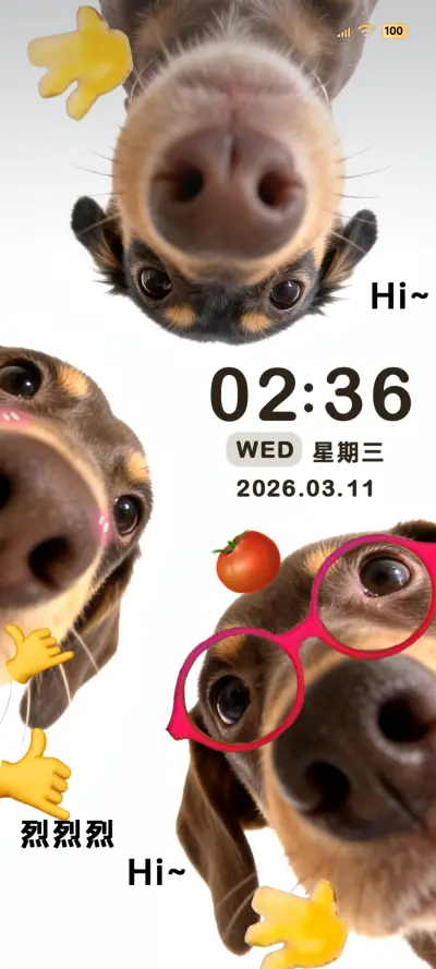 腊肠小狗探头hello THEME for Xiaomi MIUI HyperOS