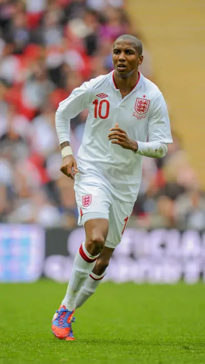 你不知道的扬教授