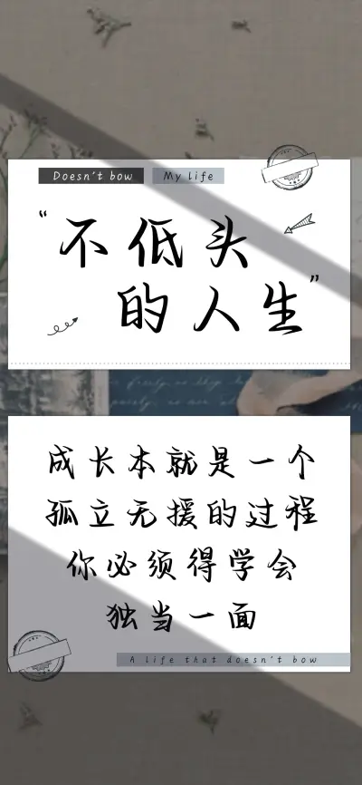 不低头的人生 - Screenshot 1