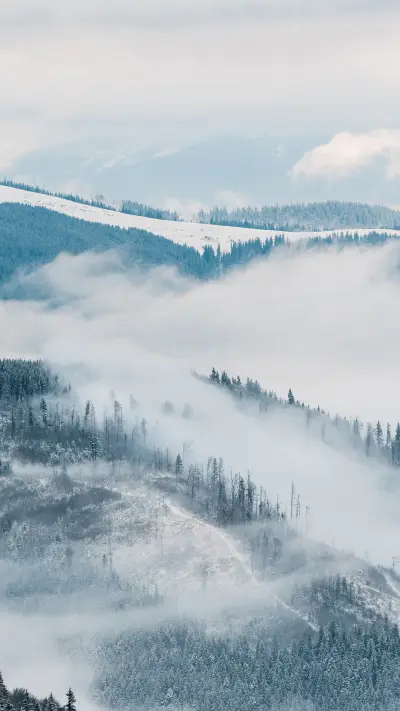 自然风景-拍信图库