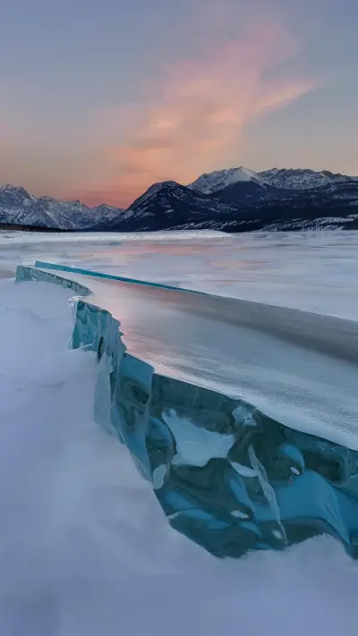 人生活法 - Screenshot 1