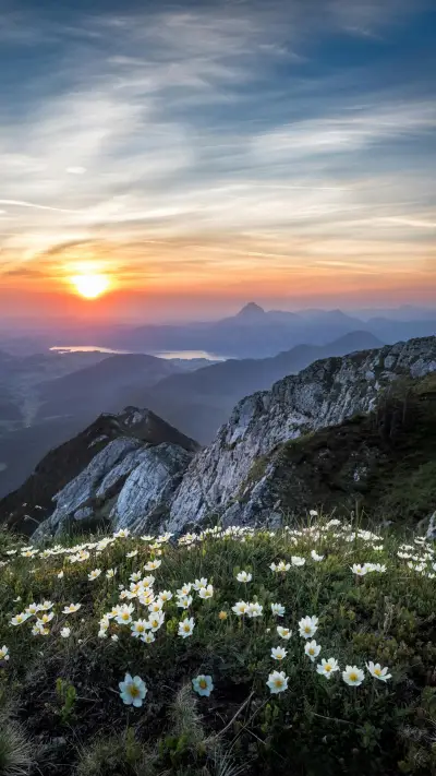风景高山-顶晟科技
