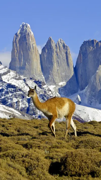 天涯之国：智利