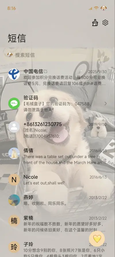 3D小金毛 自定义 - Screenshot 11