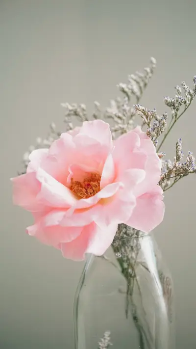 花草小情调 - Screenshot 1