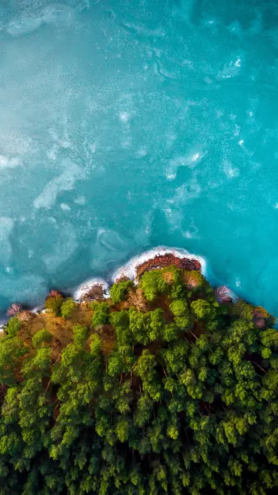 在疯狂的世界拥抱你