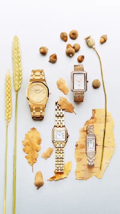 腕间的四季更迭