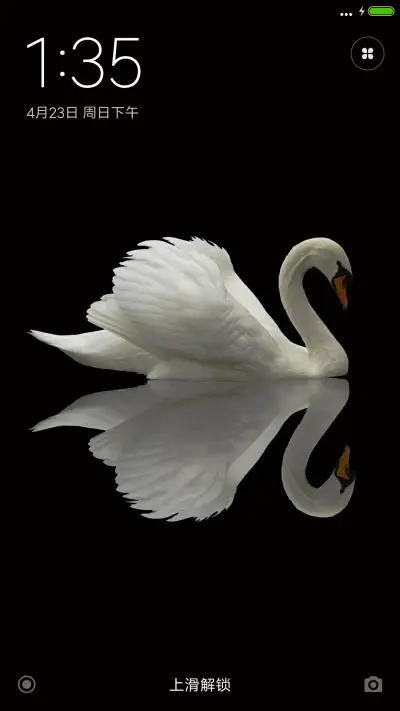 天鹅湖 - Screenshot 1