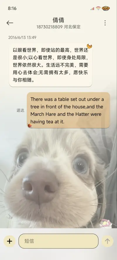 OS蜜蜂腊肠小狗 - Screenshot 8