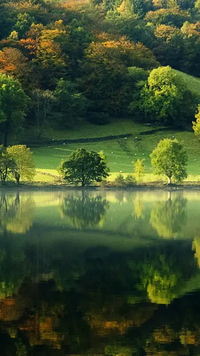 树的倒影-视觉中国