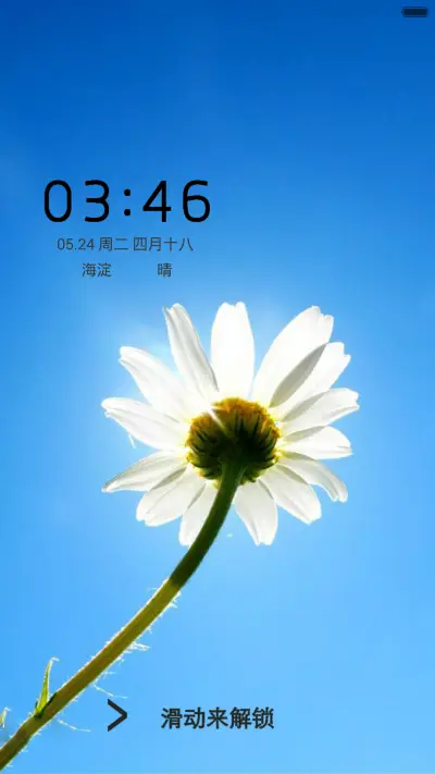 清新简约波斯花