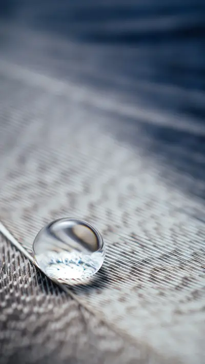 清晨的露珠 - Screenshot 1