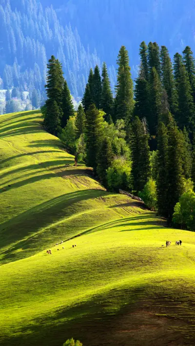 绝美的天山风光