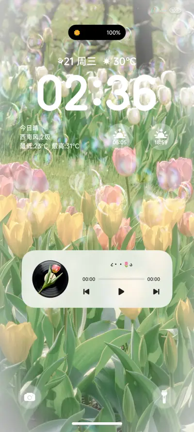 ins简约郁金香 - Screenshot 1