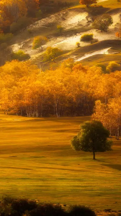 我愿意热爱整个世界