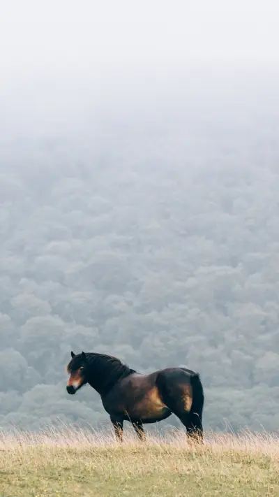 可爱大自然动物萌萌哒 - Screenshot 1