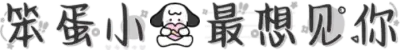 笨蛋小狗最想见你