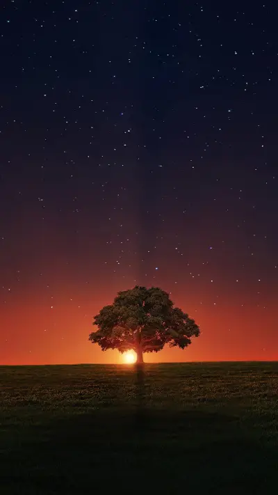 自然风光-拍信图库 - Screenshot 1