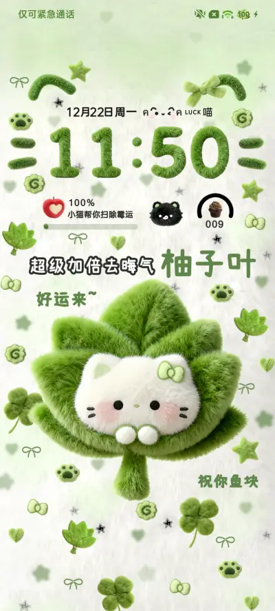 毛绒 柚子叶小猫